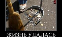 Жизнь удалась