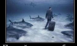 Первый день на работе